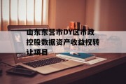 山东东营市DY区市政控股数据资产收益权转让项目