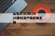 山东ZCSCWL2025债权资产政府债定融
