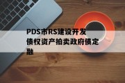 PDS市RS建设开发债权资产拍卖政府债定融