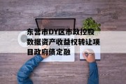 东营市DY区市政控股数据资产收益权转让项目政府债定融