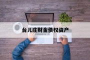 台儿庄财金债权资产