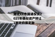 湖北XX市国通投资2025年债权资产转让1期政府债定融