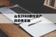 山东ZFKG债权资产政府债定融