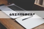 山东正方控股债权资产