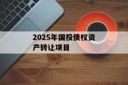 2025年国投债权资产转让项目