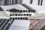 河南武陟县城市建设投资开发2025年债权项目政府债定融