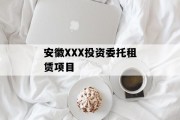 安徽XXX投资委托租赁项目
