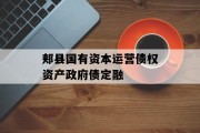 郏县国有资本运营债权资产政府债定融