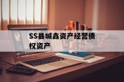 SS县城鑫资产经营债权资产