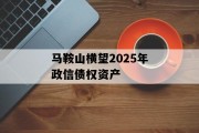 马鞍山横望2025年政信债权资产