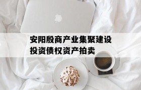 安阳殷商产业集聚建设投资债权资产拍卖