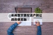 牟州数字债权资产转让政府债定融