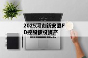 2025河南新安县FD控股债权资产
