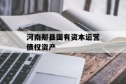 河南郏县国有资本运营债权资产