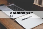 河南XX国投债权资产01