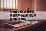 东营市DY区市政控股数据资产收益权转让项目政府债定融