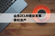 山东ZCLM建设发展债权资产