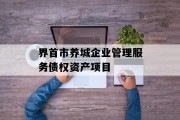 界首市养城企业管理服务债权资产项目