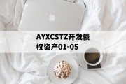 AYXCSTZ开发债权资产01-05