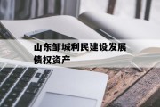山东邹城利民建设发展债权资产
