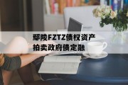 鄢陵FZTZ债权资产拍卖政府债定融