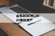 山东ZCSCWL2025债权资产