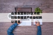 山东东营市DY区市政控股数据资产收益权转让项目