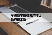 牟州数字债权资产转让政府债定融