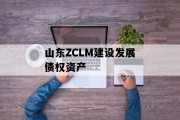 山东ZCLM建设发展债权资产