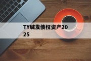 TY城发债权资产2025
