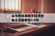 山东阳信县数字经济创新示范园债权1-4号