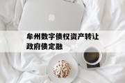 牟州数字债权资产转让政府债定融