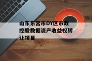 山东东营市DY区市政控股数据资产收益权转让项目