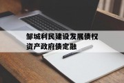 邹城利民建设发展债权资产政府债定融