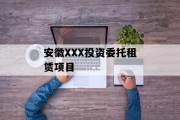 安徽XXX投资委托租赁项目
