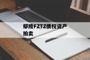 鄢陵FZTZ债权资产拍卖