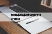 林州市城市投资债权转让项目