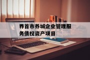 界首市养城企业管理服务债权资产项目