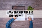 凤台县州来国有资本运营债权资产
