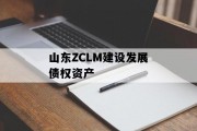 山东ZCLM建设发展债权资产