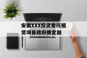 安徽XXX投资委托租赁项目政府债定融