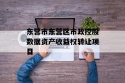 东营市东营区市政控股数据资产收益权转让项目