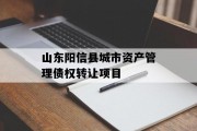 山东阳信县城市资产管理债权转让项目
