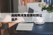 南阳鸭河发投债权转让资产