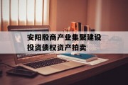 安阳殷商产业集聚建设投资债权资产拍卖