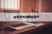 山东ZFKG债权资产