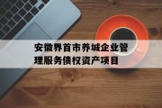 安徽界首市养城企业管理服务债权资产项目