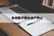 牟州数字债权资产转让