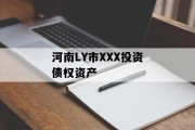 河南LY市XXX投资债权资产