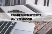 郏县国有资本运营债权资产政府债定融